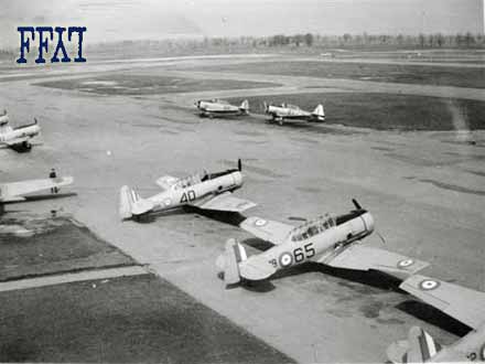 Harvards on the Tarmac in Aylmer
